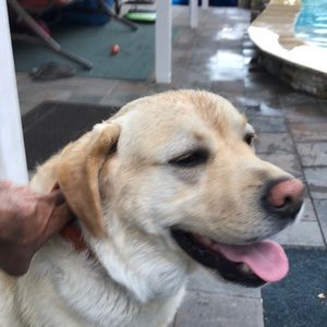 Meet your Posher, Danny